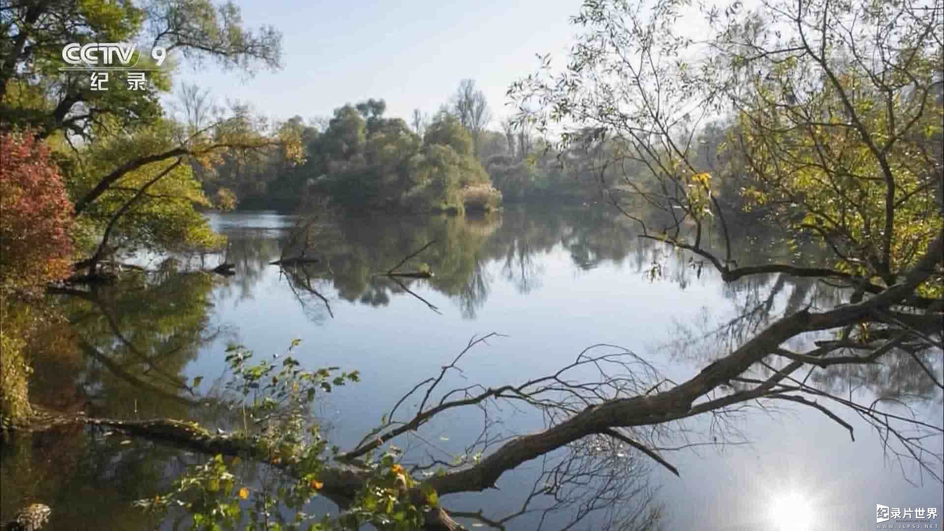 央视纪录片《莱茵河畔的丛林之旅 In the Jungle of the Old River Rhine 2017》全1集