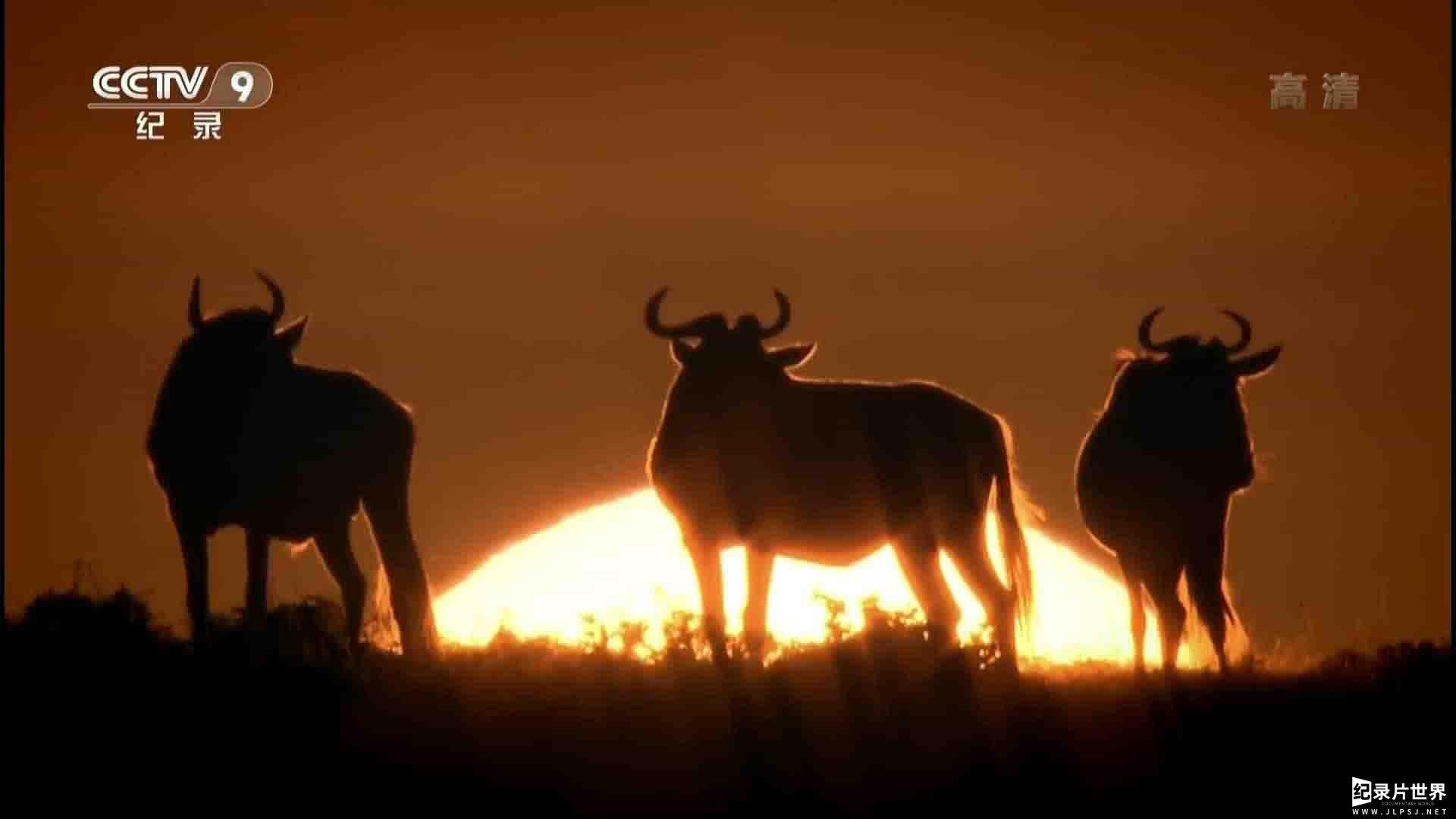 央视纪录片《自然界最壮观的旅程/塞伦盖蒂：自然界最壮观的旅程 Serengeti: Nature’s Greatest Journey 2015》全1集 