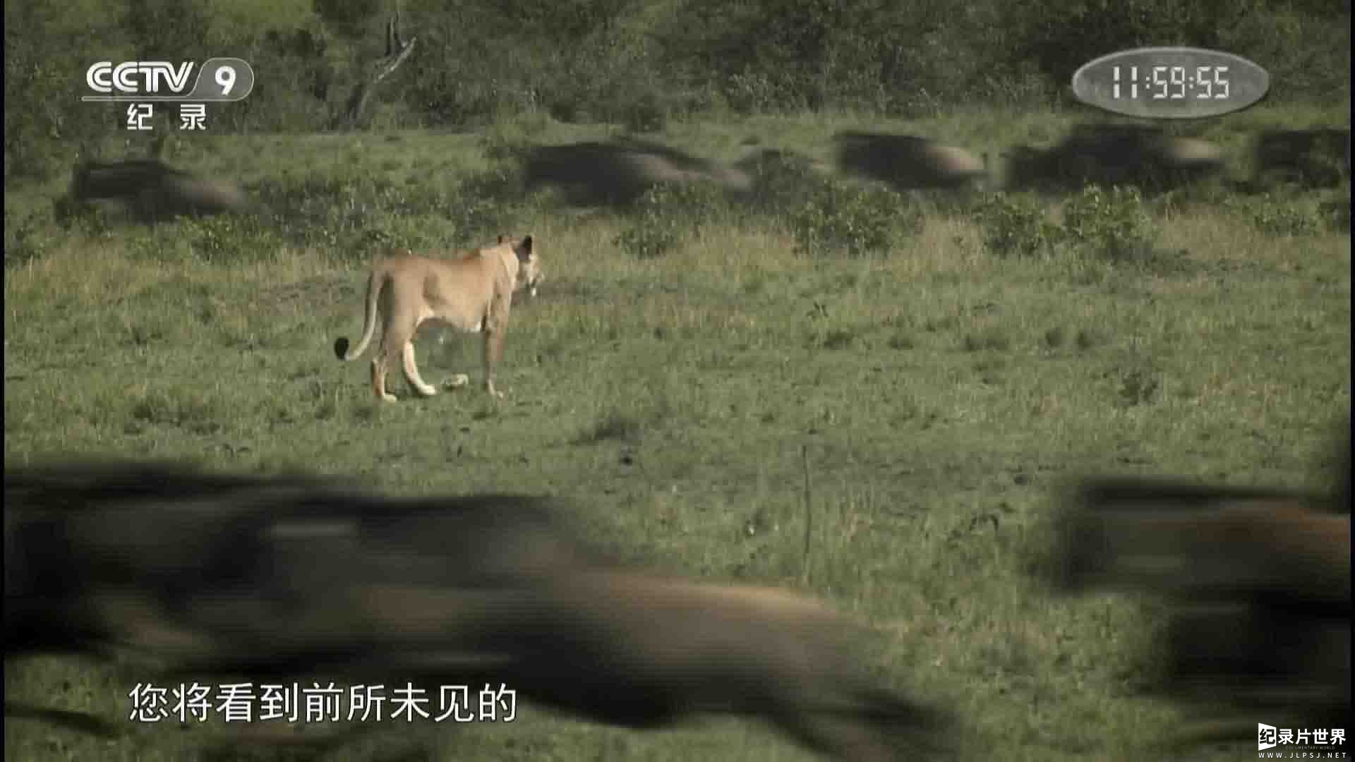 央视纪录片《自然界最壮观的旅程/塞伦盖蒂：自然界最壮观的旅程 Serengeti: Nature’s Greatest Journey 2015》全1集 