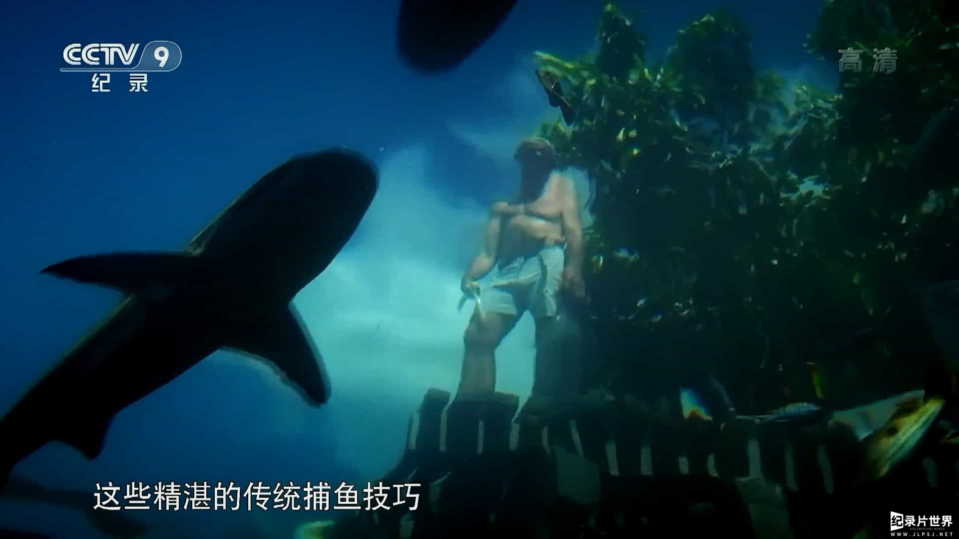 央视纪录片《河中巨怪-探秘捕鱼部落 River Monster Goes Tribal 2018》全1集 