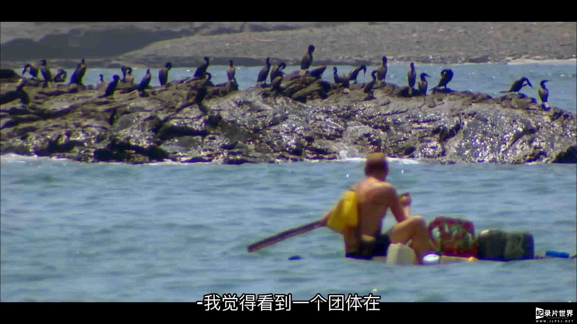 CH4纪录片荒野求生《贝尔的荒岛生存实验 The Island with Bear Grylls》第1-6季全43集