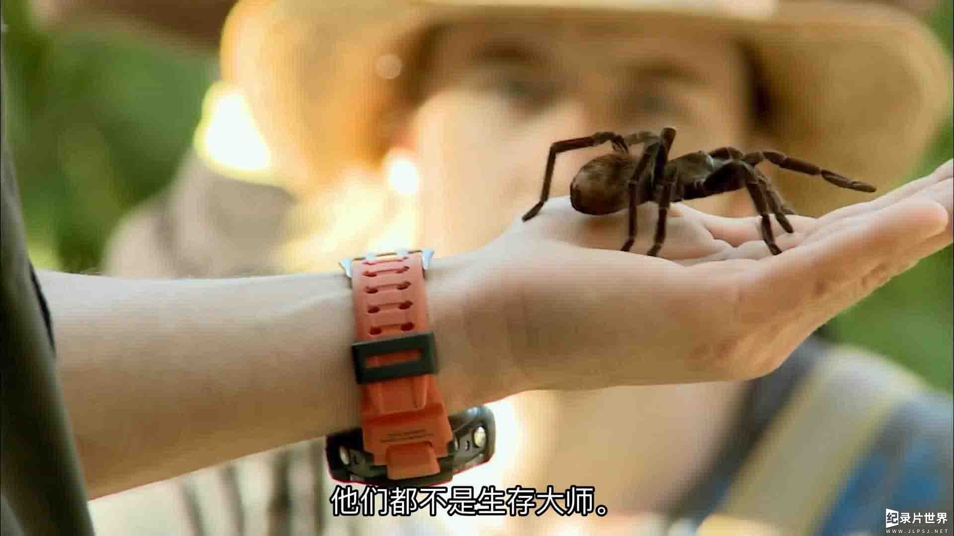 CH4纪录片荒野求生《贝尔的荒岛生存实验 The Island with Bear Grylls》第1-6季全43集