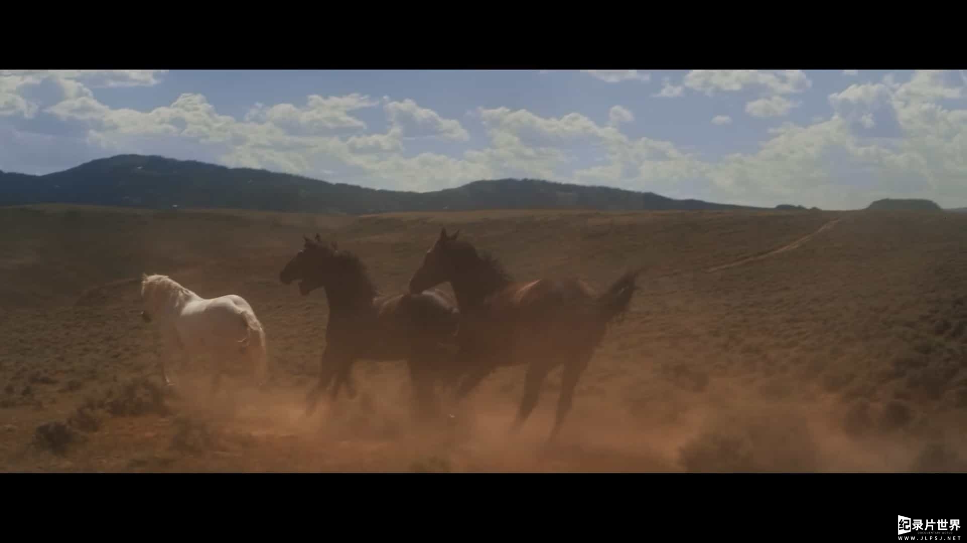 Netflix纪录片《我的牛仔英雄梦 My Heroes Were Cowboys 2021》全1集 