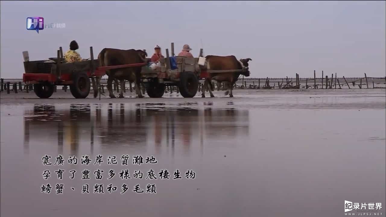 台湾纪录片《退潮之海岸群像 Ebb and Flow - Special 2010》全1集