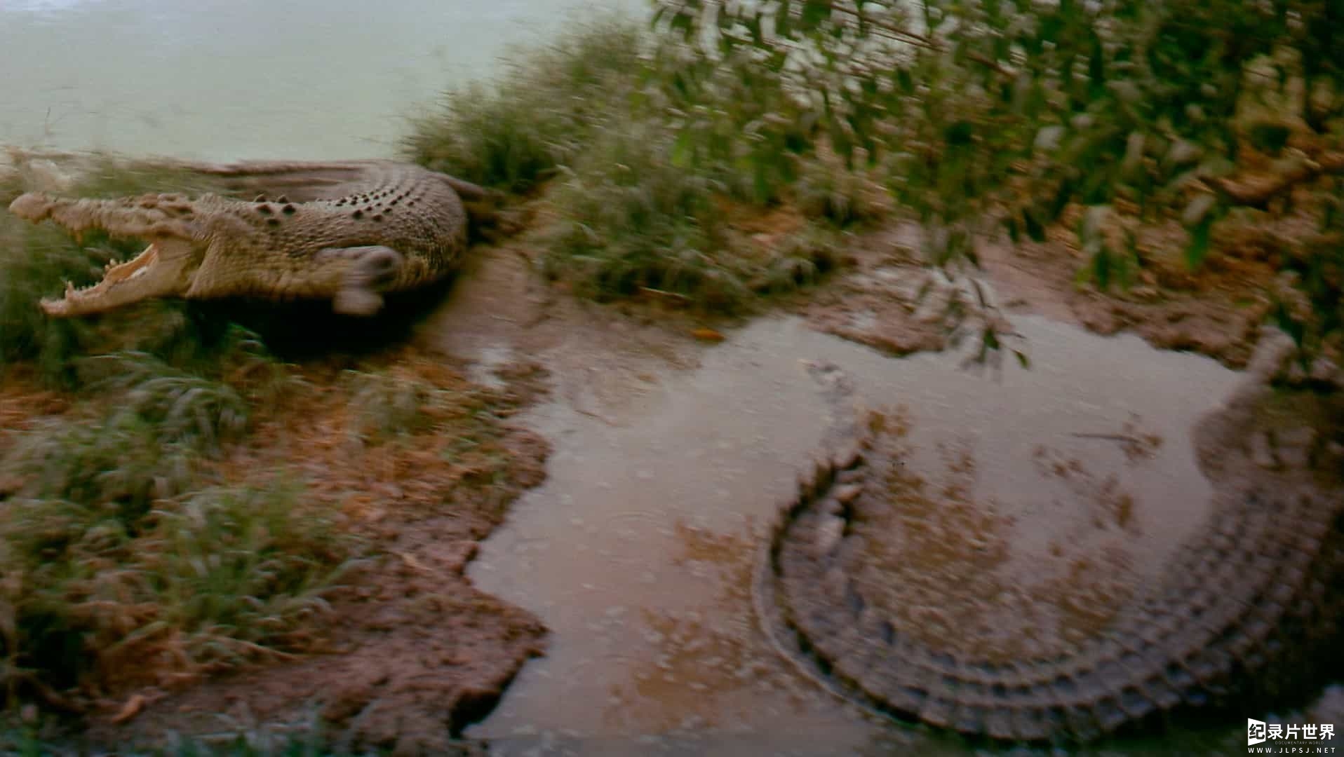 IMAX纪录片《跨越时间的澳洲大陆 Australia Land Beyond Time》全1集