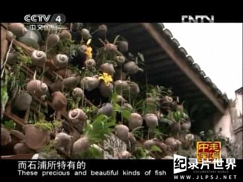 央视纪录片《中国古镇》全105集