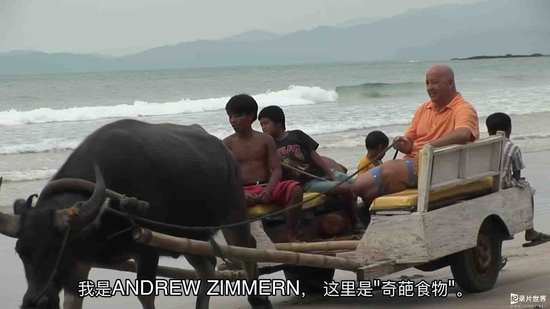 旅游频道《古怪的食物/奇妙美食之旅/饮食奇趣录 Bizarre Foods with Andrew Zimmern》第1-12季全145集 