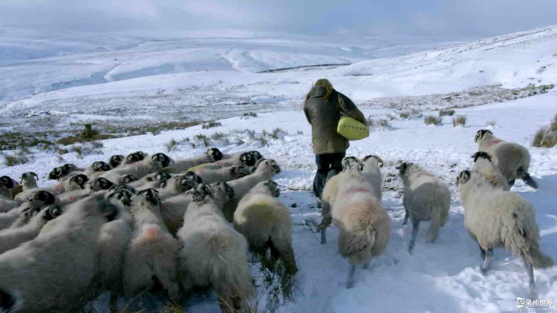 Ch5纪录片《我们约克郡的农场 Our Yorkshire Farm 2021》第1-4季全21集