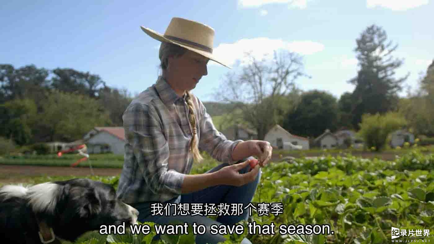 美国纪录片《从牧场到餐桌 Ranch to Table 2022》第1-2季全12集