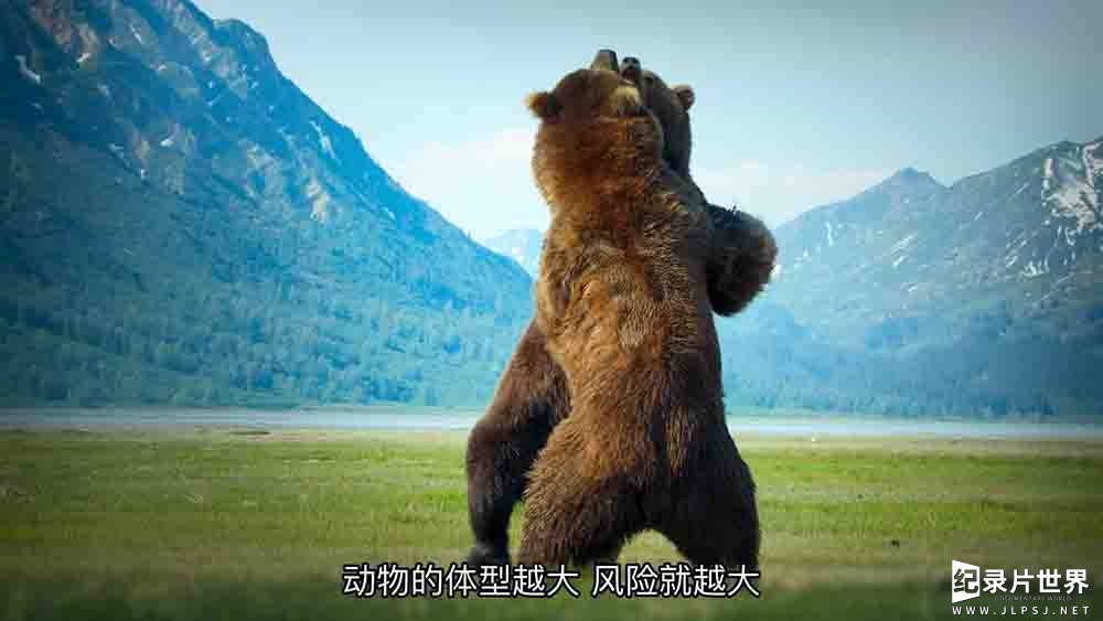 AppleTV纪录片《巨兽/大动物大不易 Big Beasts 2023》全10集