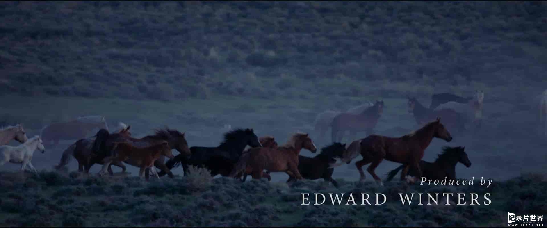 美国纪录片《荒野美人：西部野马精神 Wild Beauty: Mustang Spirit of the West 2023》全1集 