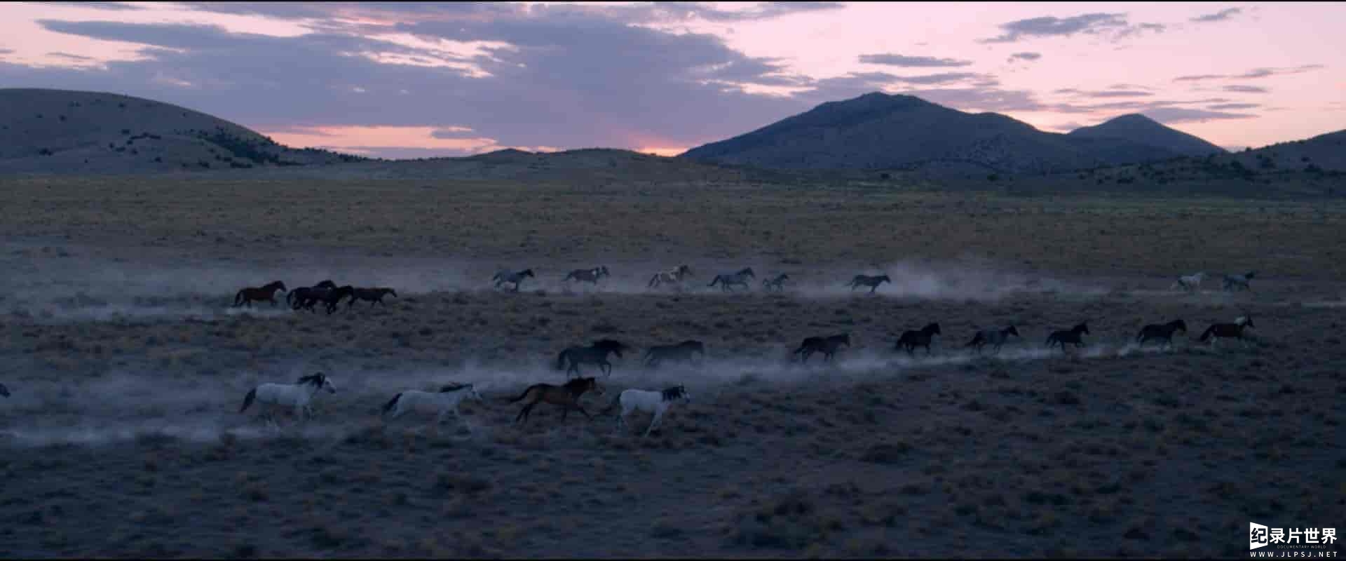 美国纪录片《荒野美人：西部野马精神 Wild Beauty: Mustang Spirit of the West 2023》全1集 