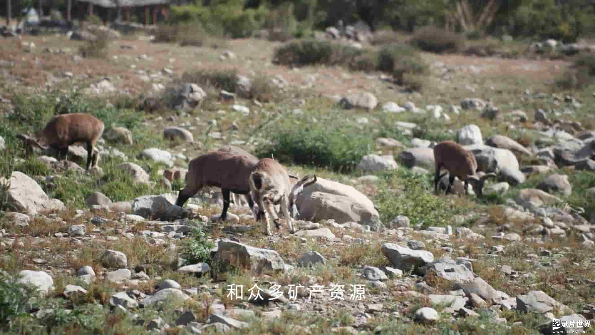  国产纪录片《天下黄河富宁夏》第1-2季全38集