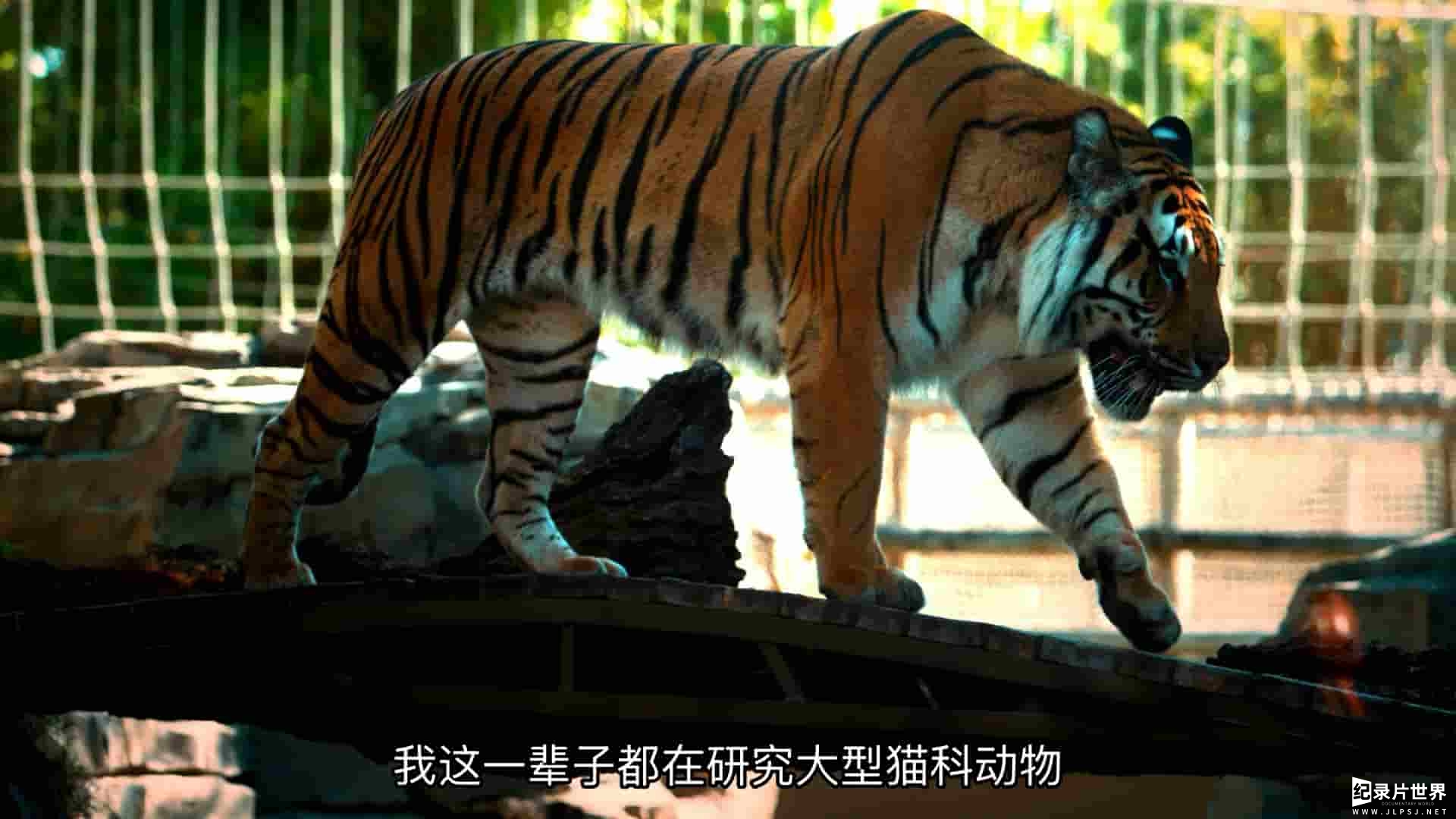 国家地理《大猫竞技 Big Cat Games 2015》全1集