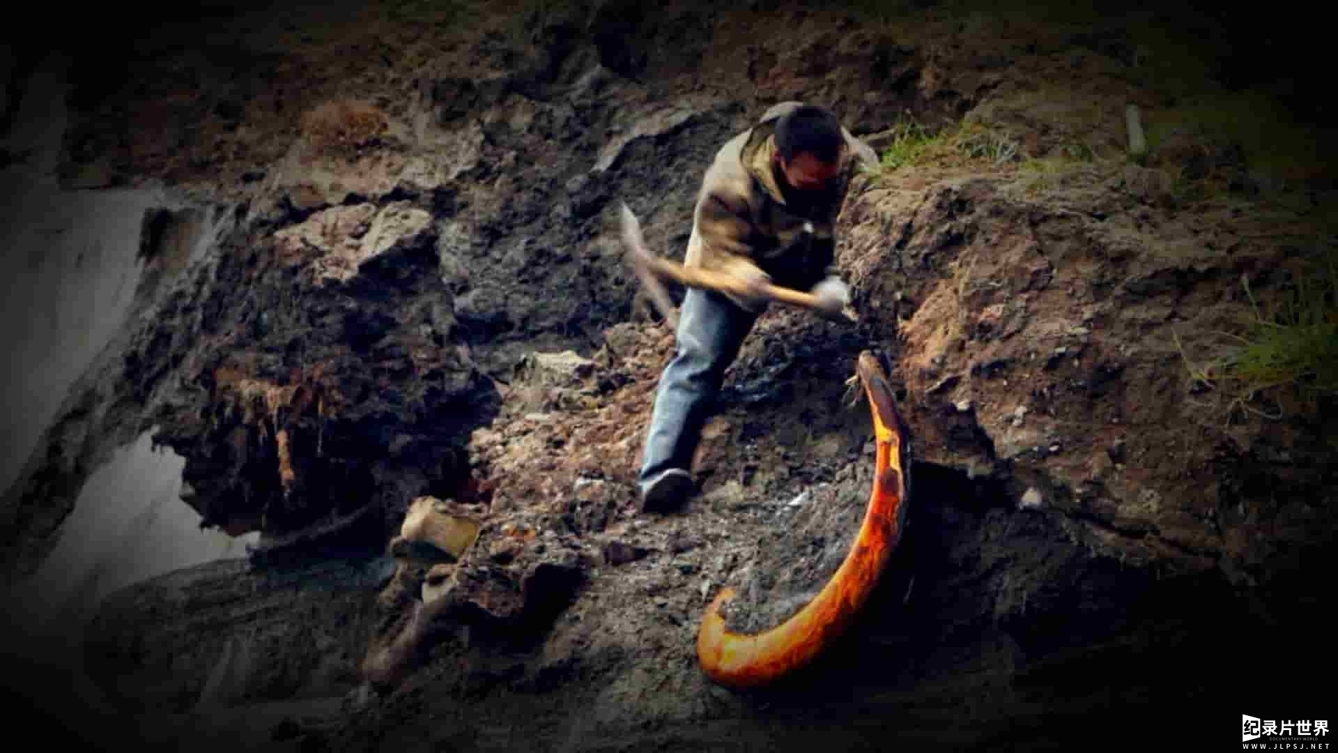 国家地理《挖掘猛犸象/出土的猛犸象 Mammoth Unearthed 2014》全1集