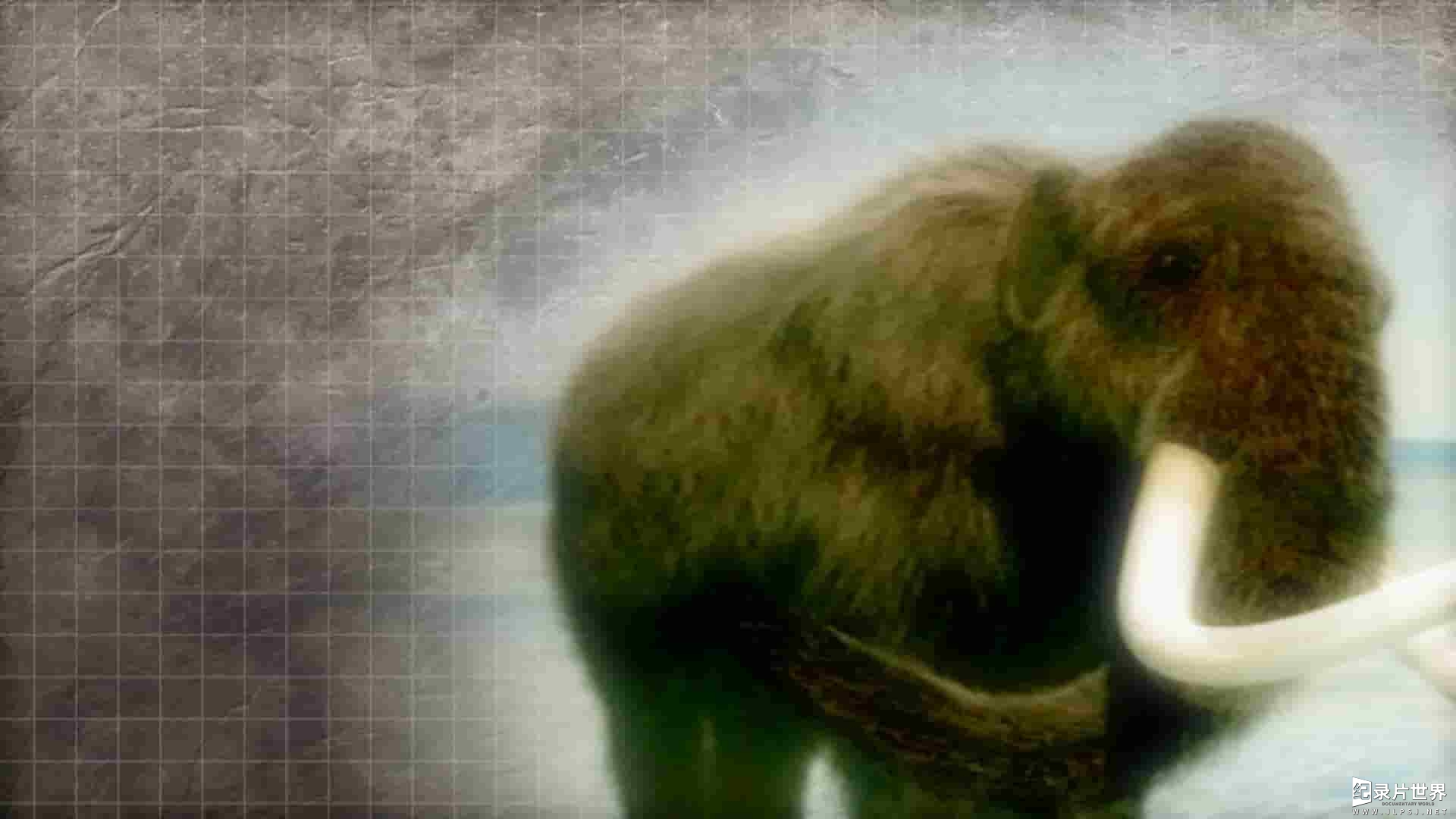 国家地理《挖掘猛犸象/出土的猛犸象 Mammoth Unearthed 2014》全1集