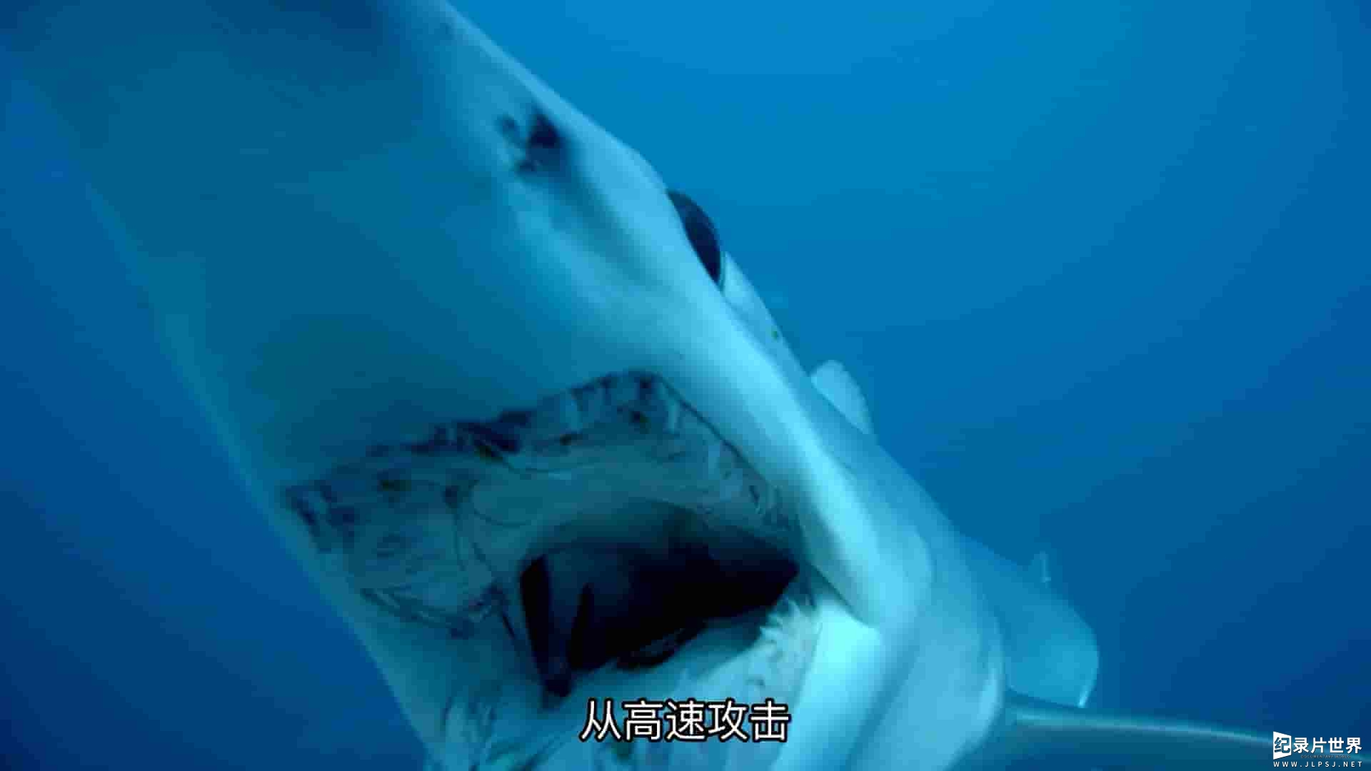 国家地理《鲨鱼进食秀 Great Shark Chow Down 2019》全1集 