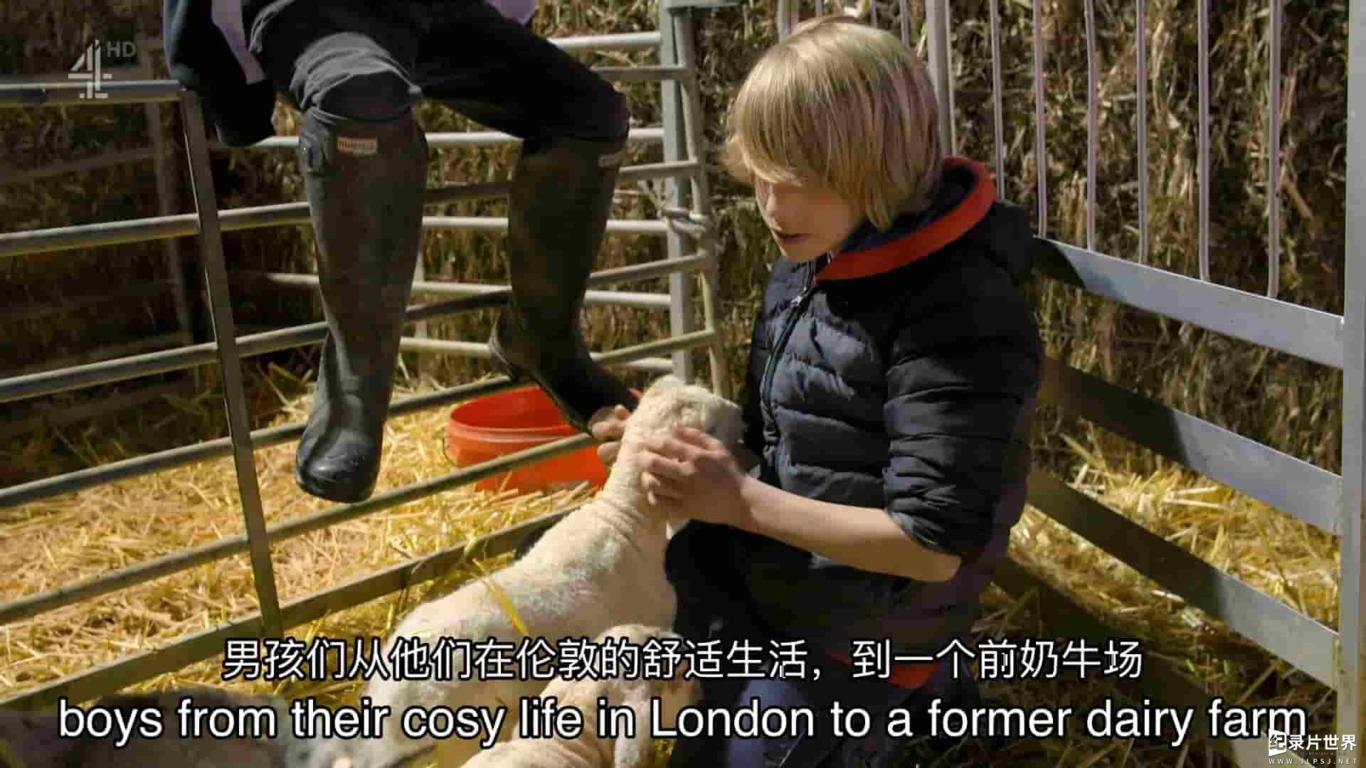  CH4纪录片《莎拉·比尼在乡村的新生活 Sarah Beeny's New Life in the Country 2020》第1-2季全17集