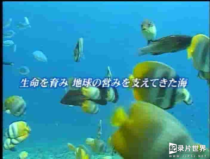 NHK海洋纪录片《大海 未知的世界 Planet of Ocean》全8集