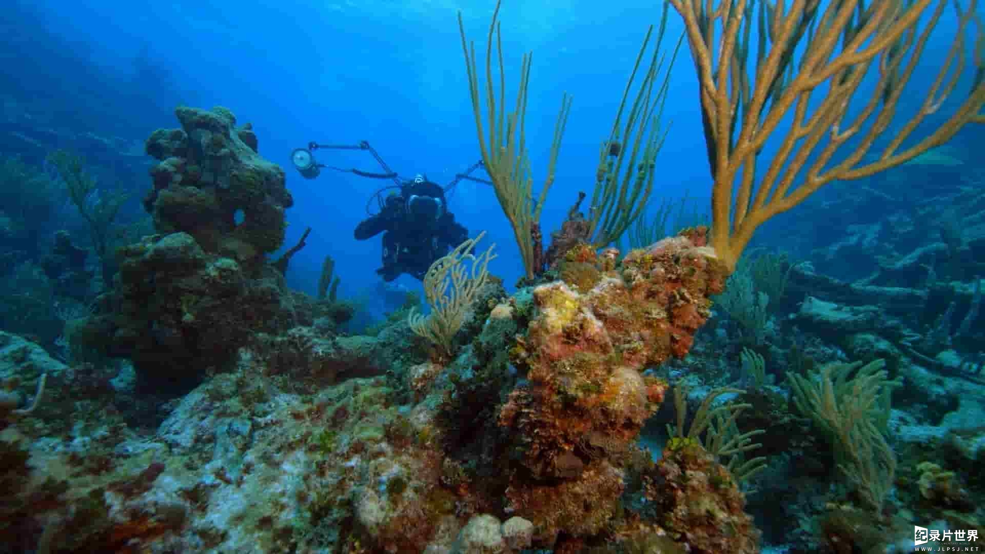 国家地理《希望之海：美国的水下宝藏 Sea of Hope: America's Underwater Treasures 2017》全1集