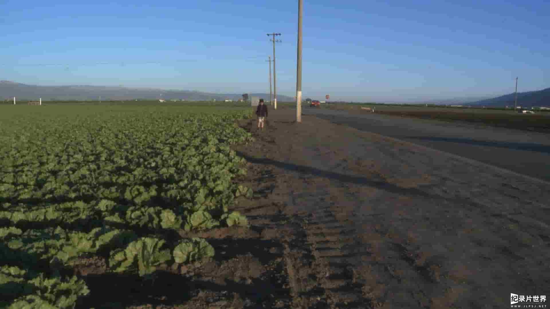 美国纪录片《萨利纳斯以东 East of Salinas 2016》全1集 