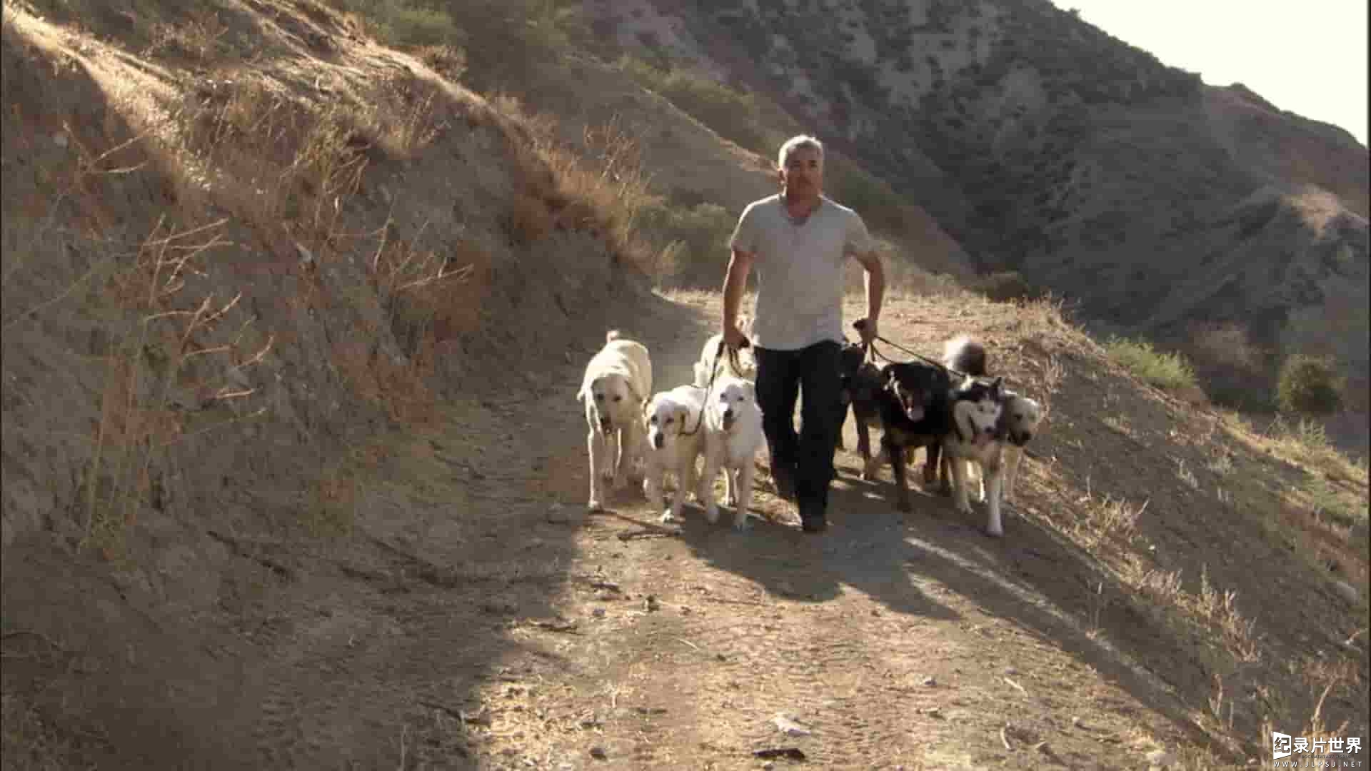 国家地理《西泽·米兰：真实故事 Cesar Millan: The Real Story 2012》全1集