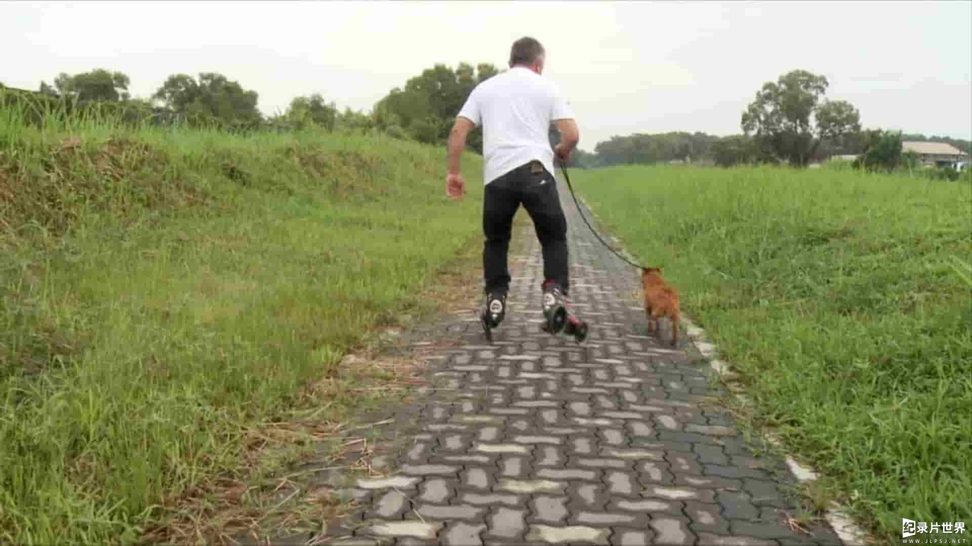 国家地理《西泽·米兰：真实故事 Cesar Millan: The Real Story 2012》全1集 