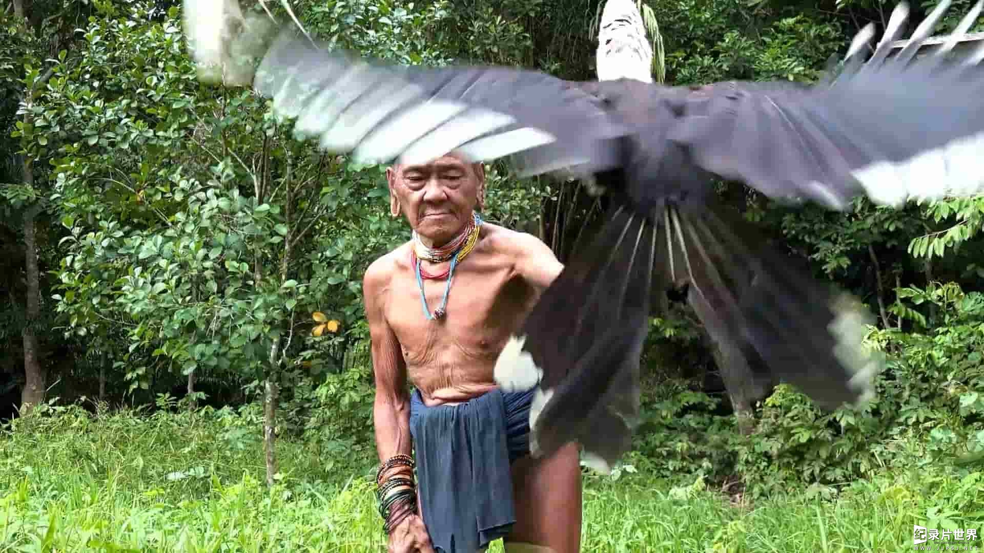 迫于生计的谋生纪录片《婆罗洲吹管猎人》全1集