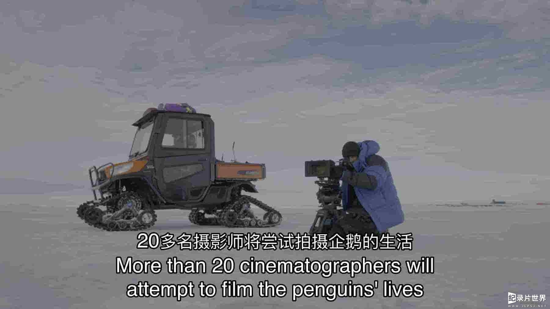 迪士尼纪录片《企鹅：极地追踪 Penguins: Life on the Edge 2020》全1集