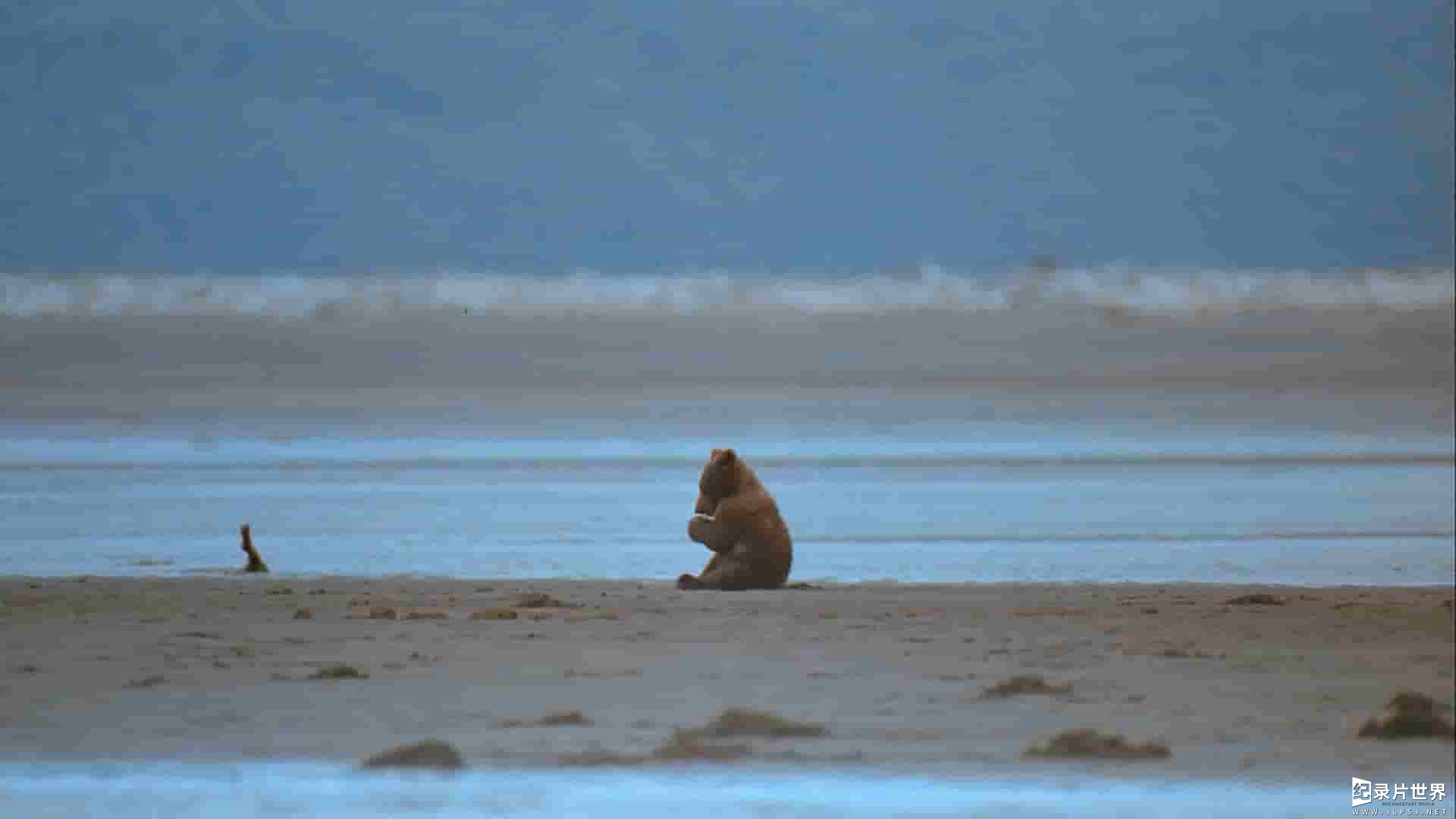 IMAX纪录片《阿拉斯加：荒野的精神 Alaska: Spirit of the Wild》全1集 