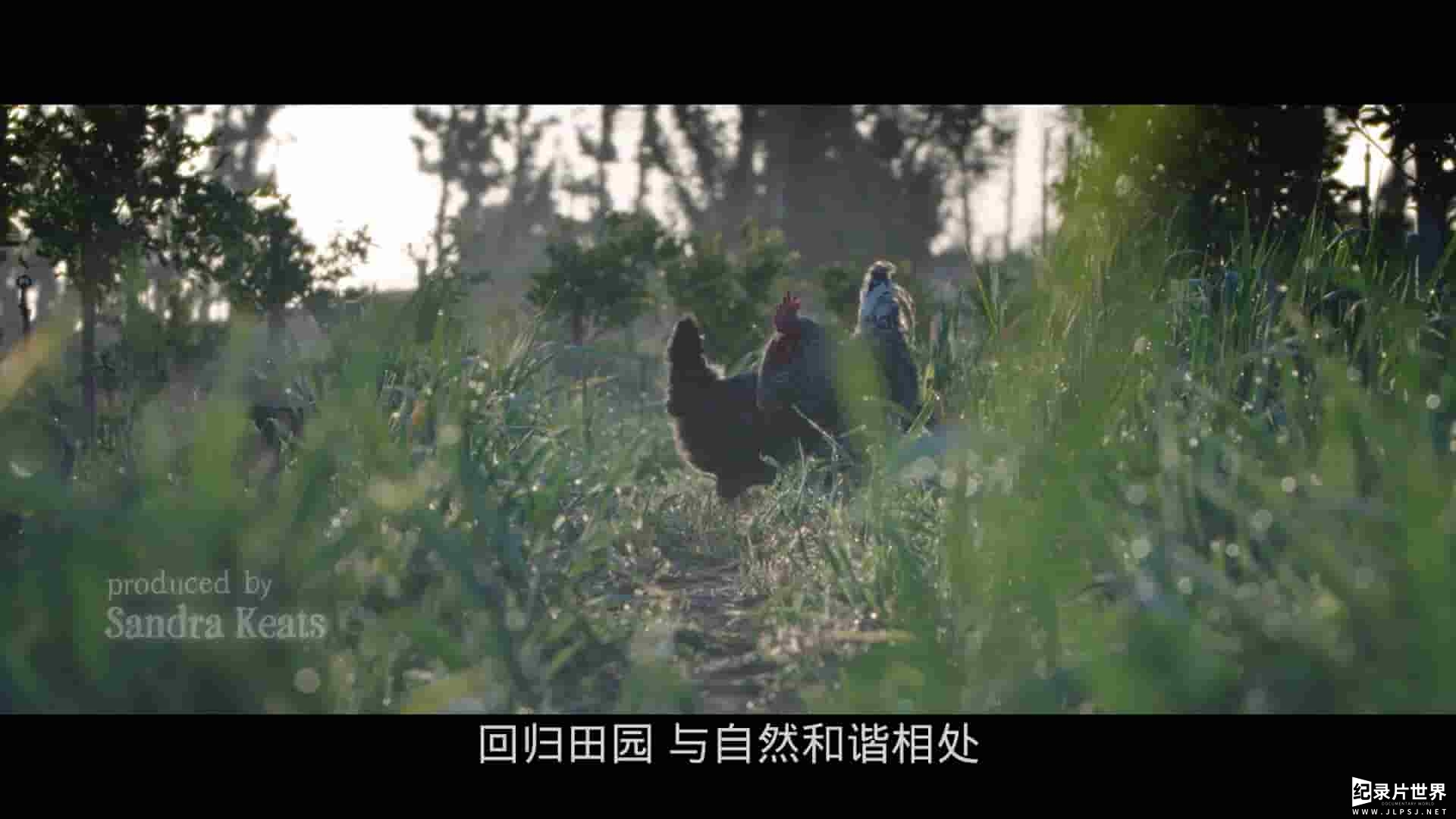 美国纪录片《最大的小小农场 The Biggest Little Farm 2018》全1集