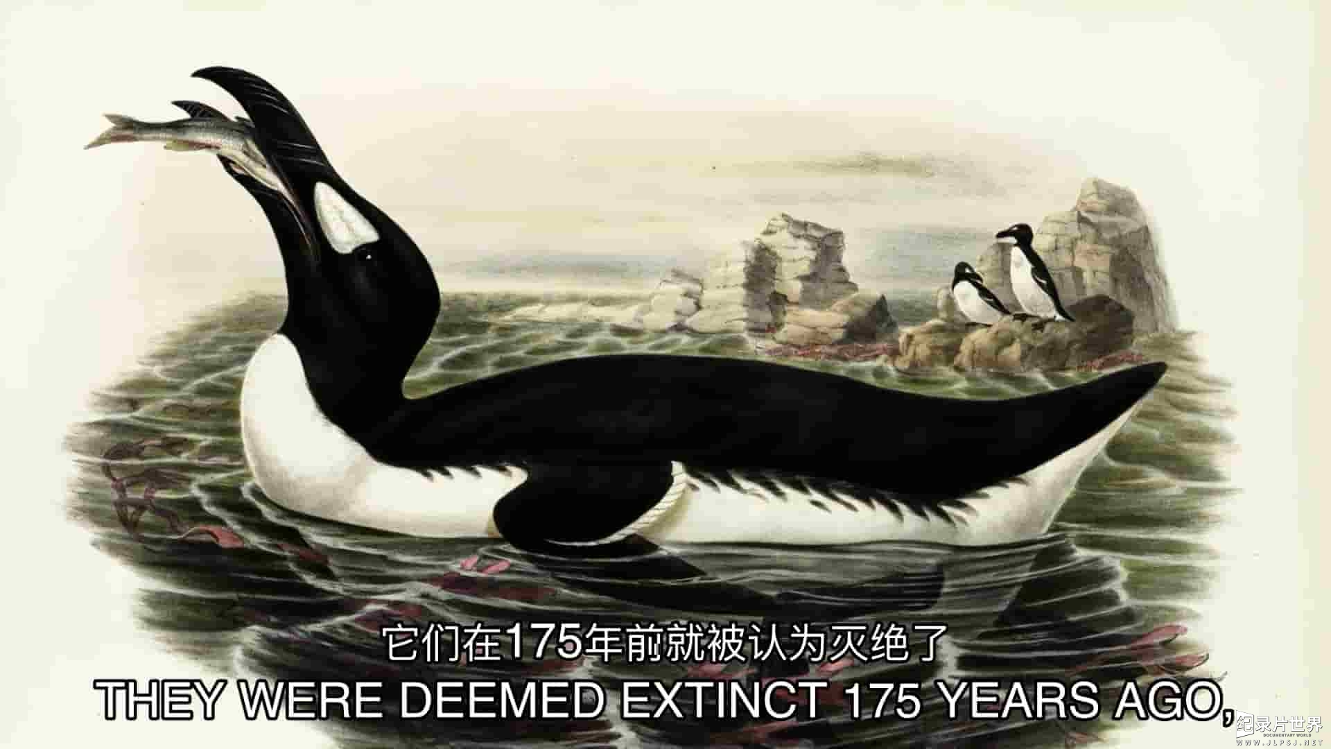 探索频道《灭绝还是存活 Extinct or Alive 2019》第1-2季全18集