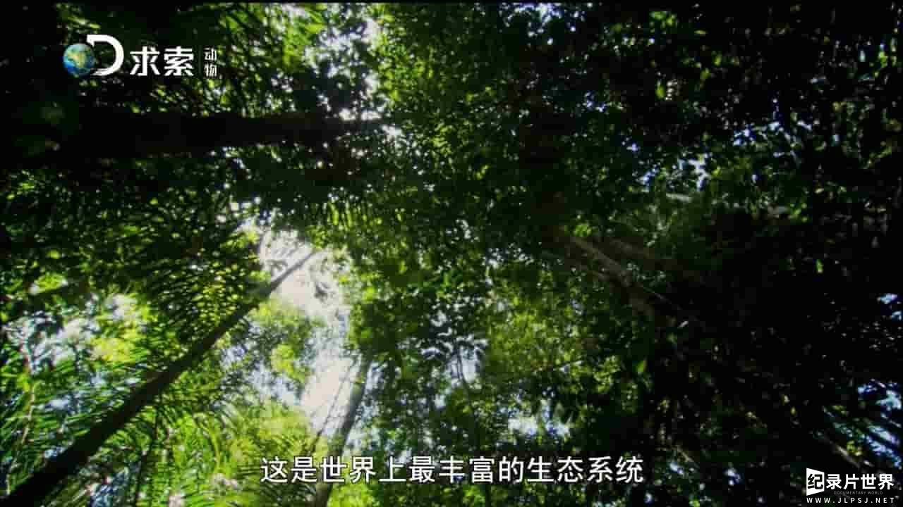 探索频道《拉美野生大地 Wildest Latin America》全5集 