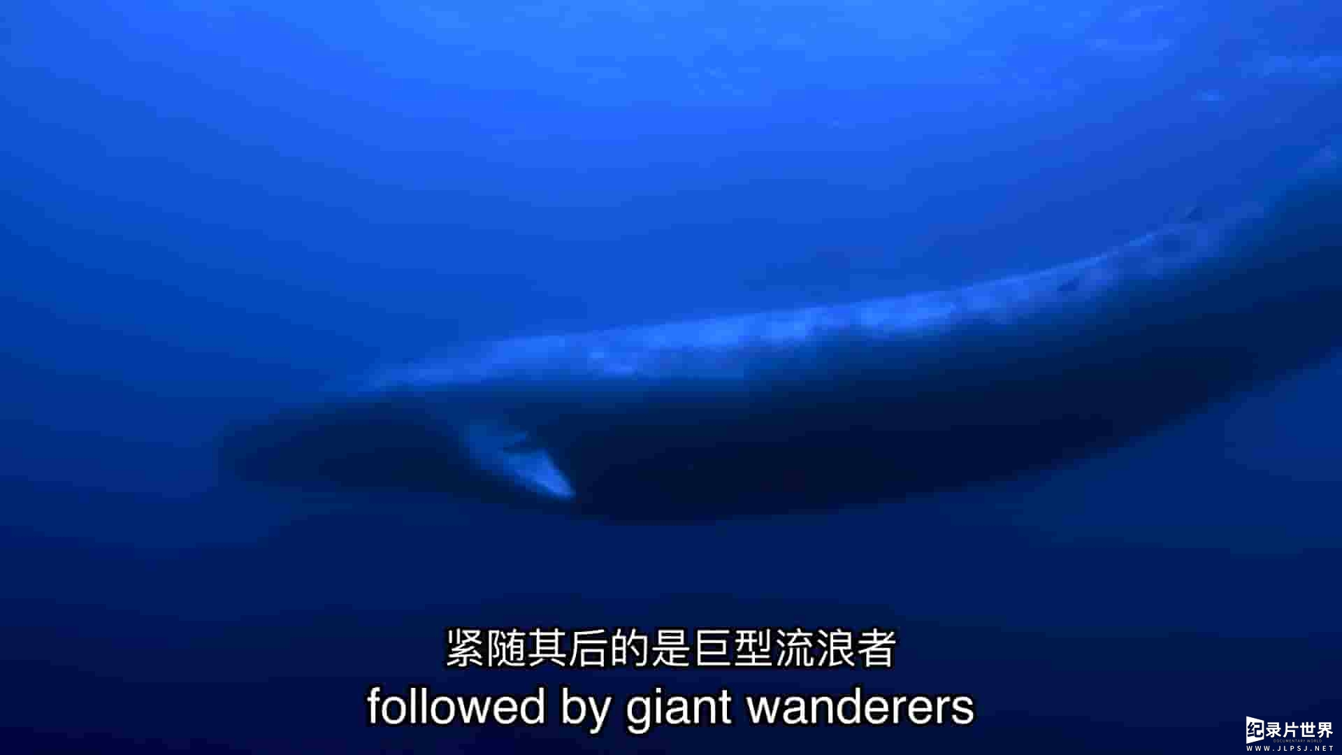 国家地理《深海巨兽 Giants of the Deep Blue 2018》全1集