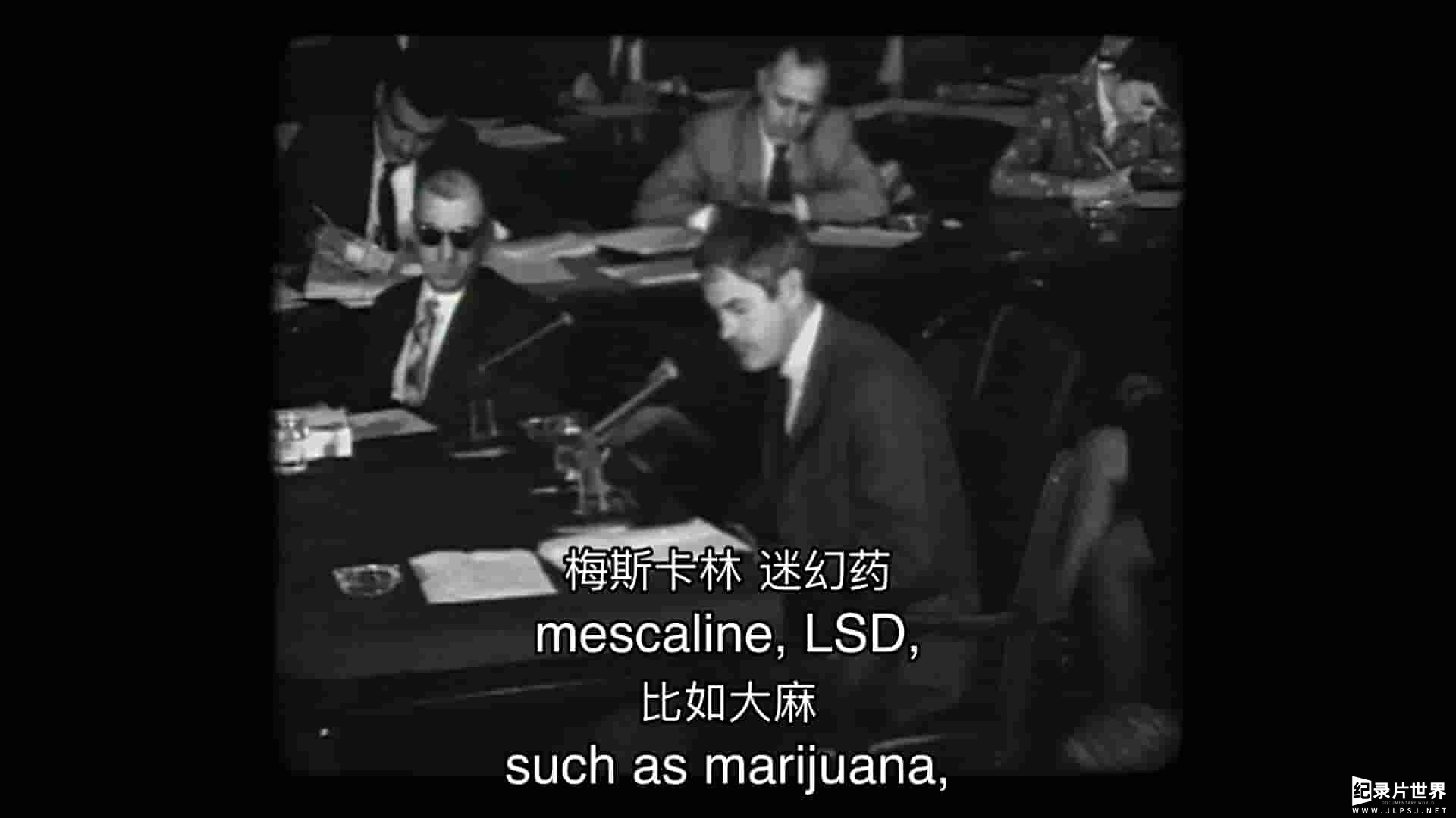 美国纪录片《垂死挣扎 Dying to Know: Ram Dass & Timothy Leary 2014》全1集