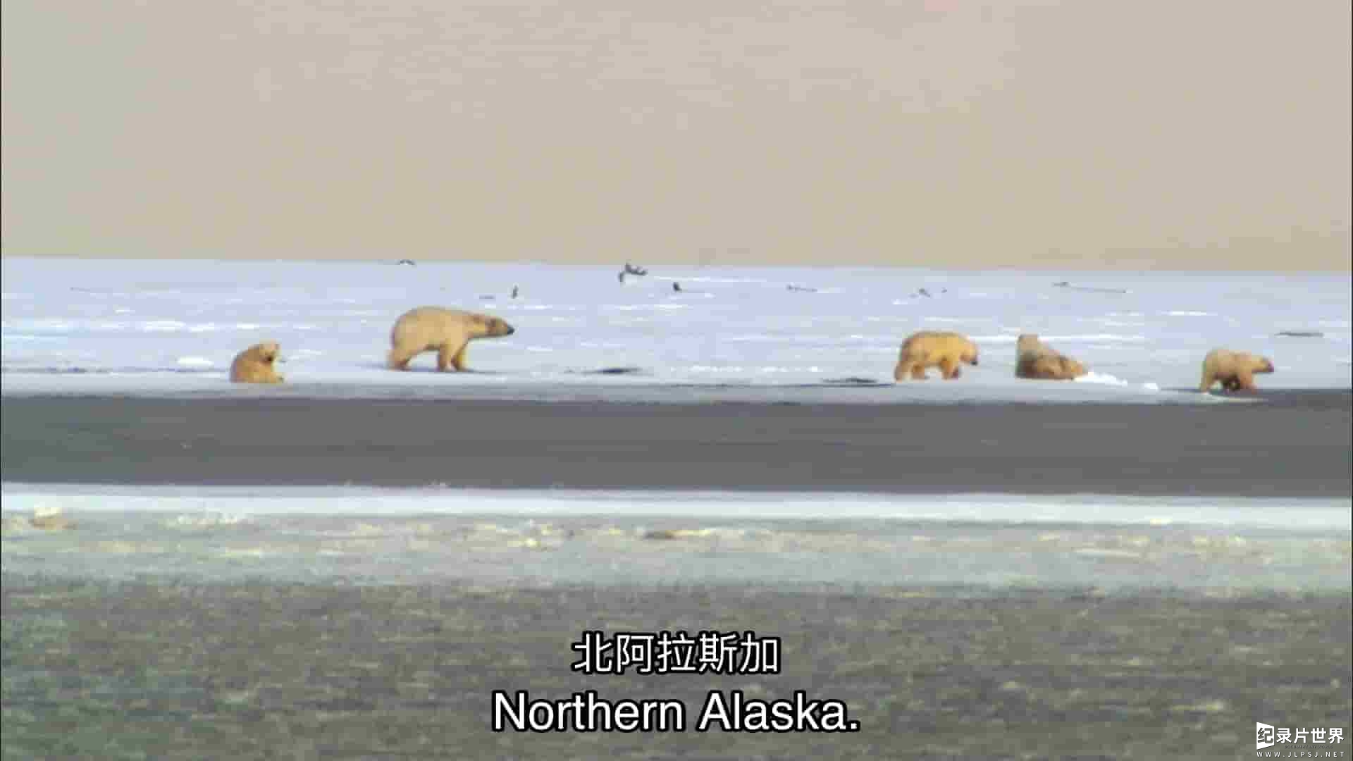 探索频道《飞越狂野阿拉斯加 Flying Wild Alaska》第1-3季全31集