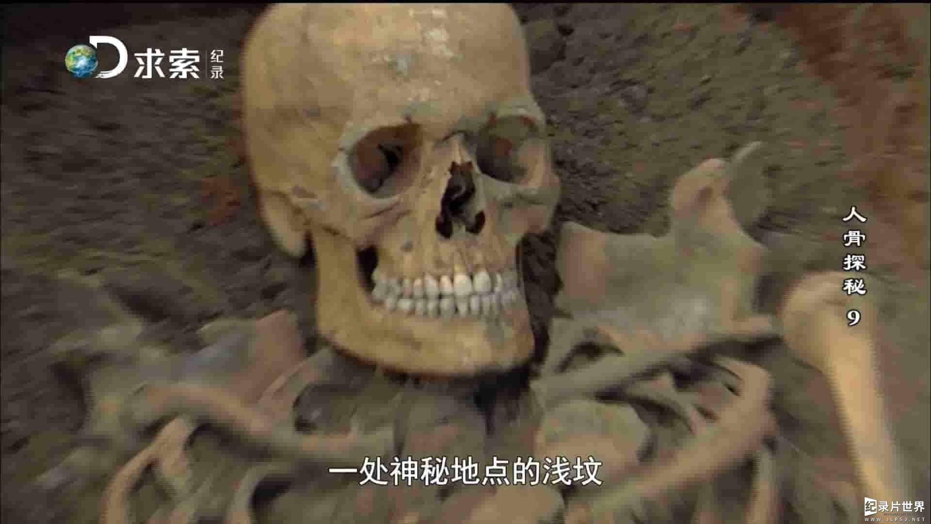 探索频道《人骨探秘 Bone Detectives》全13集