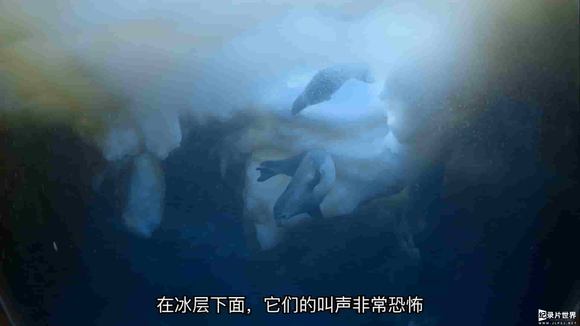 IMAX纪录片《南极洲:不一样的大自然探险之旅 An adventure of a Different Nature》全1集