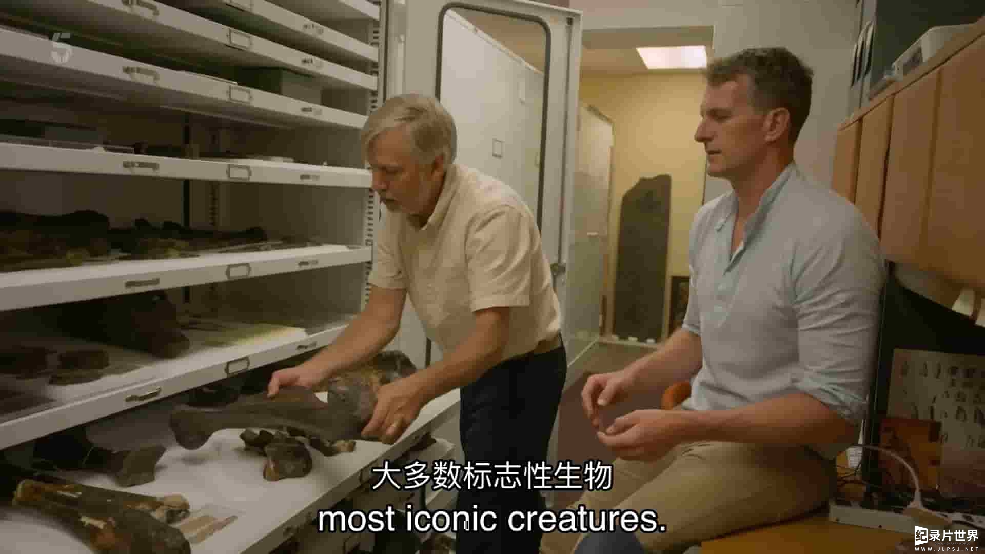 Ch5纪录片《与丹·斯诺一起进入恐龙谷 Into Dinosaur Valley with Dan Snow 2022》全1集