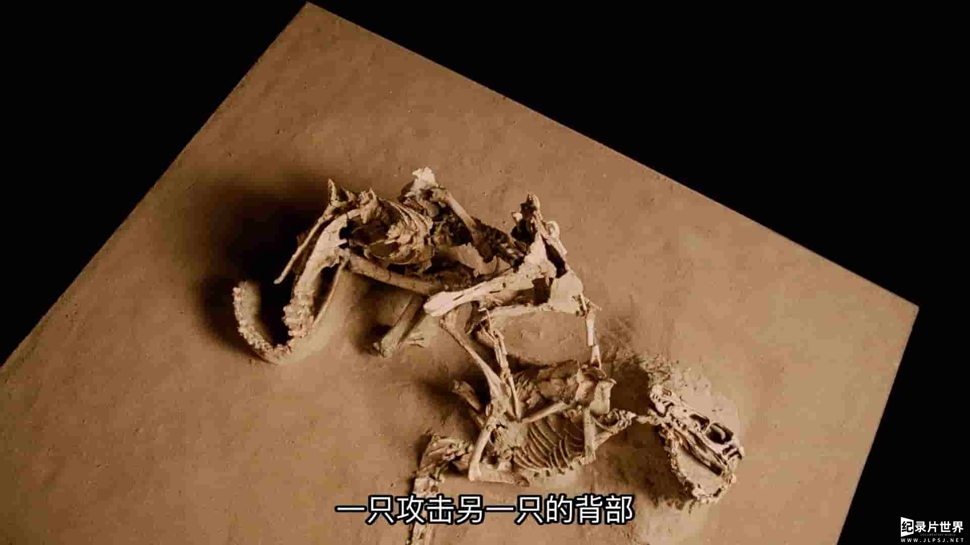 IMAX纪录片《恐龙再现 Dinosaurs Alive 2009》全1集