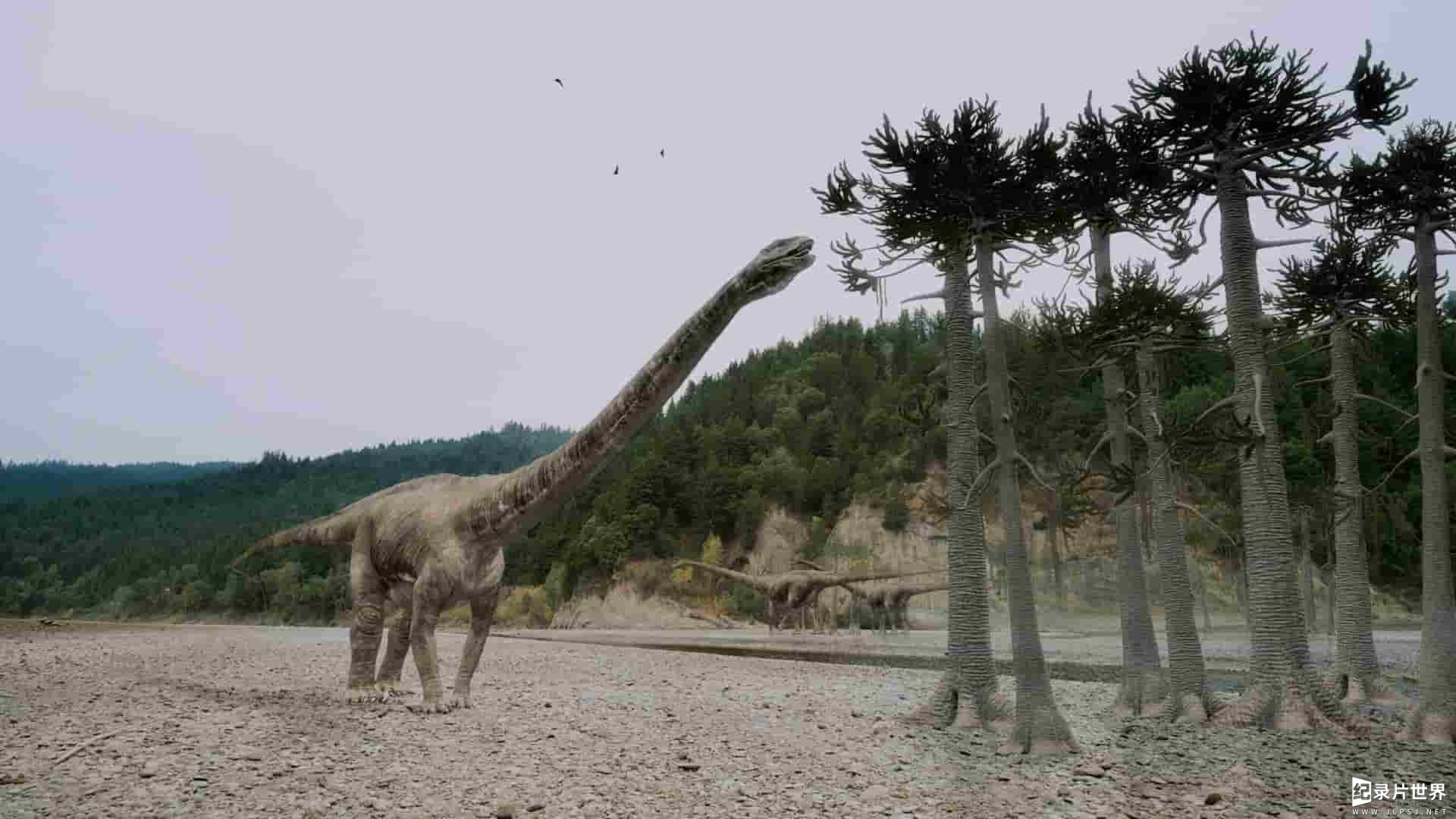 IMAX纪录片《恐龙再现 Dinosaurs Alive 2009》全1集