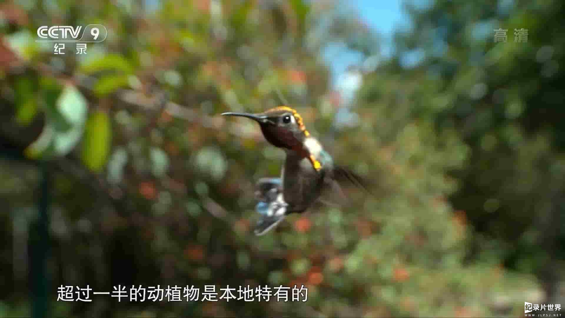 PBS纪录片《野性古巴 Cuba’s Wild Revolution 2020》全1集