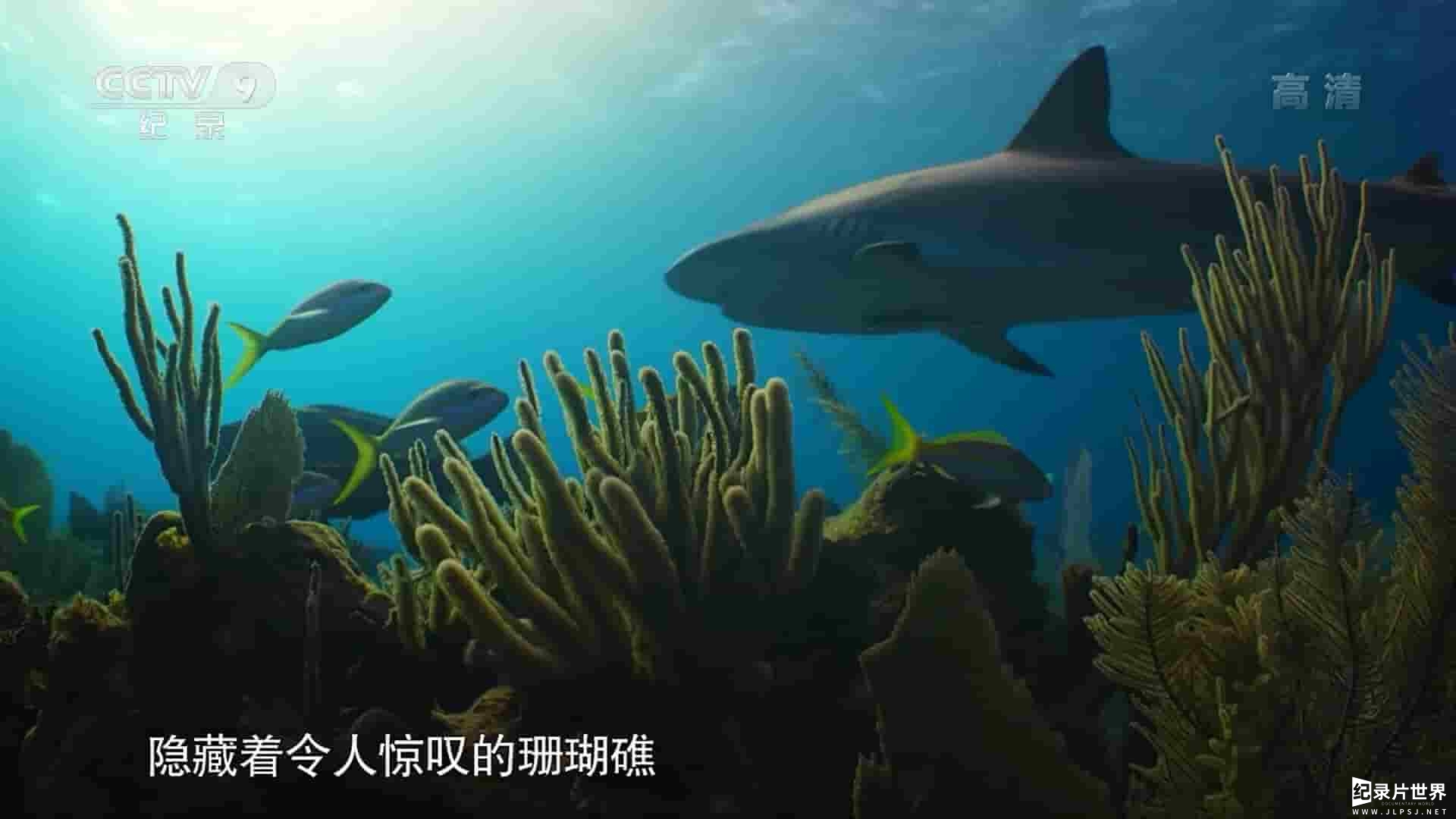 PBS纪录片《野性古巴 Cuba’s Wild Revolution 2020》全1集