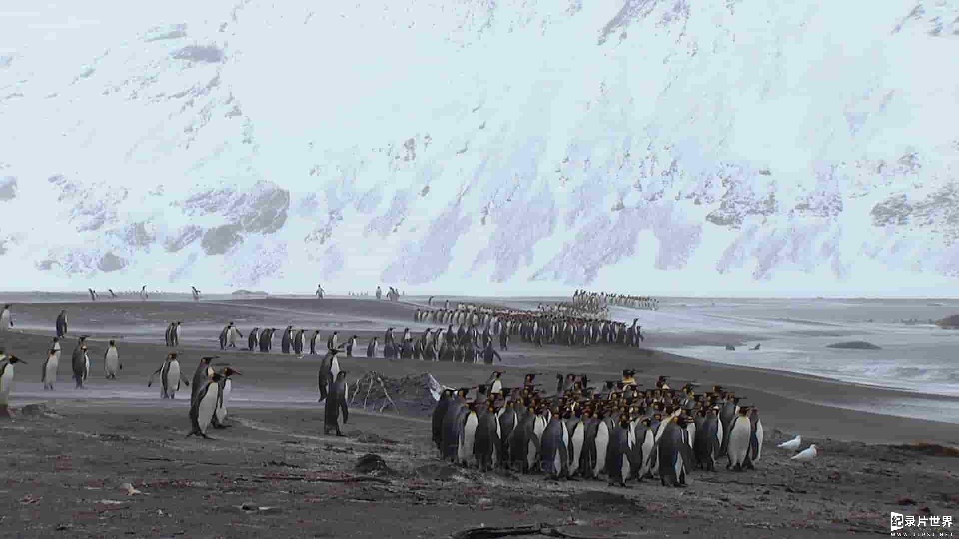 地球的眼泪系列三部曲之一《南极的眼泪 Tears of the Antarctic》全1集