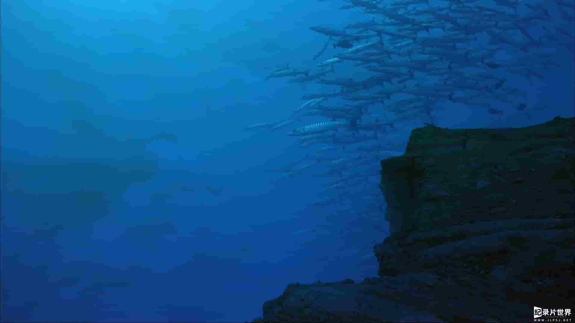 IMAX纪录片《生命海洋 The Living Sea》全1集
