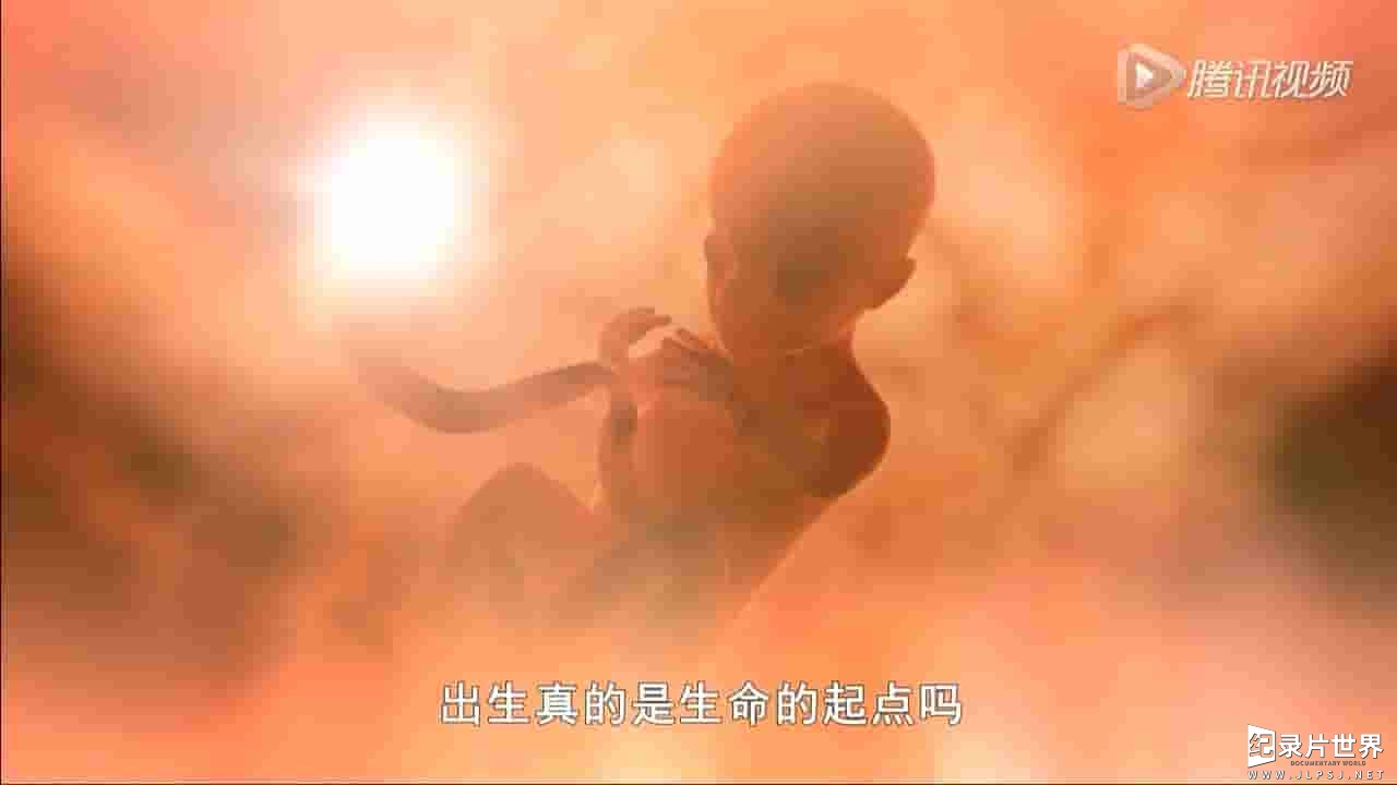 哲学纪录片《生死与轮回 Life Death & Reincarnation》全4集 