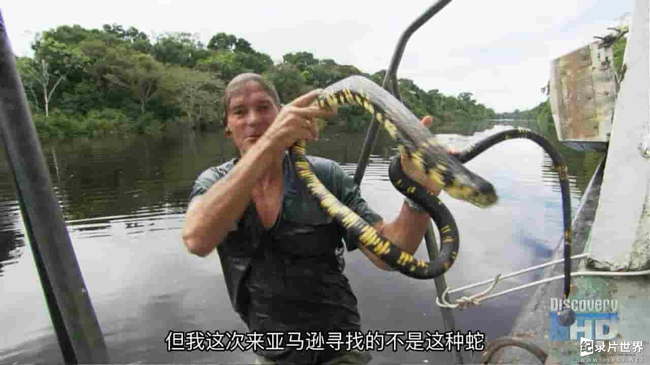 探索频道《蛇王 奥斯汀·史蒂文斯 Austin Stevens Snakemaster》全14集