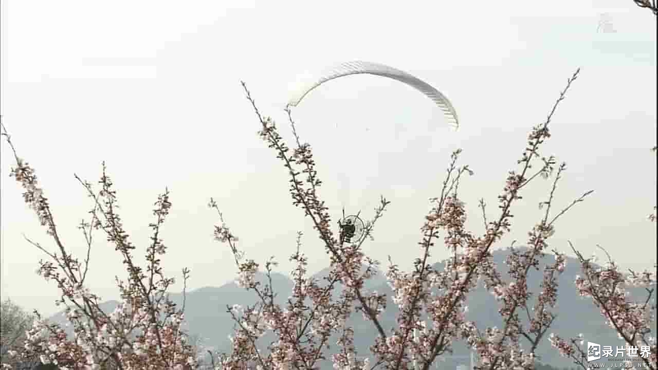 NHK纪录片《樱花前线之旅：从冲绳到北海道》全1集
