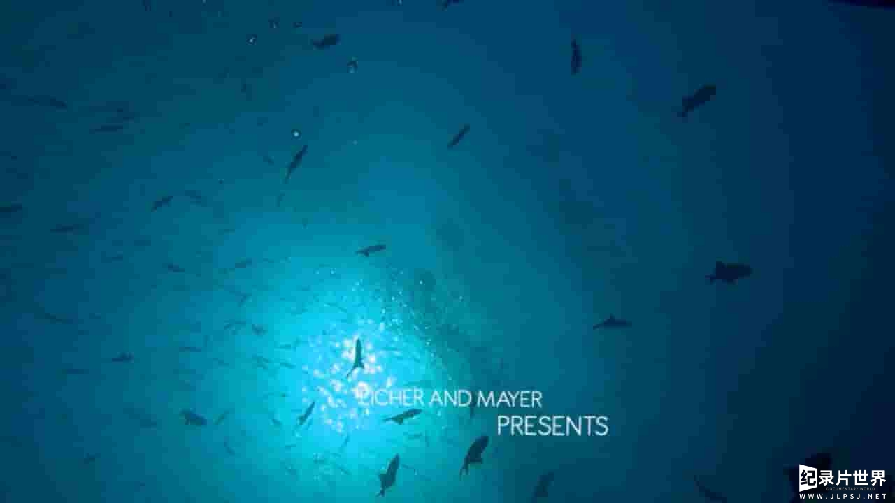 海洋纪录片《神奇的海洋 Amazing Ocean 3D》全1集 