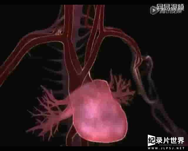 BBC纪录片/央视纪录片《心碎的科学 Heartbreak Science2016》全1集